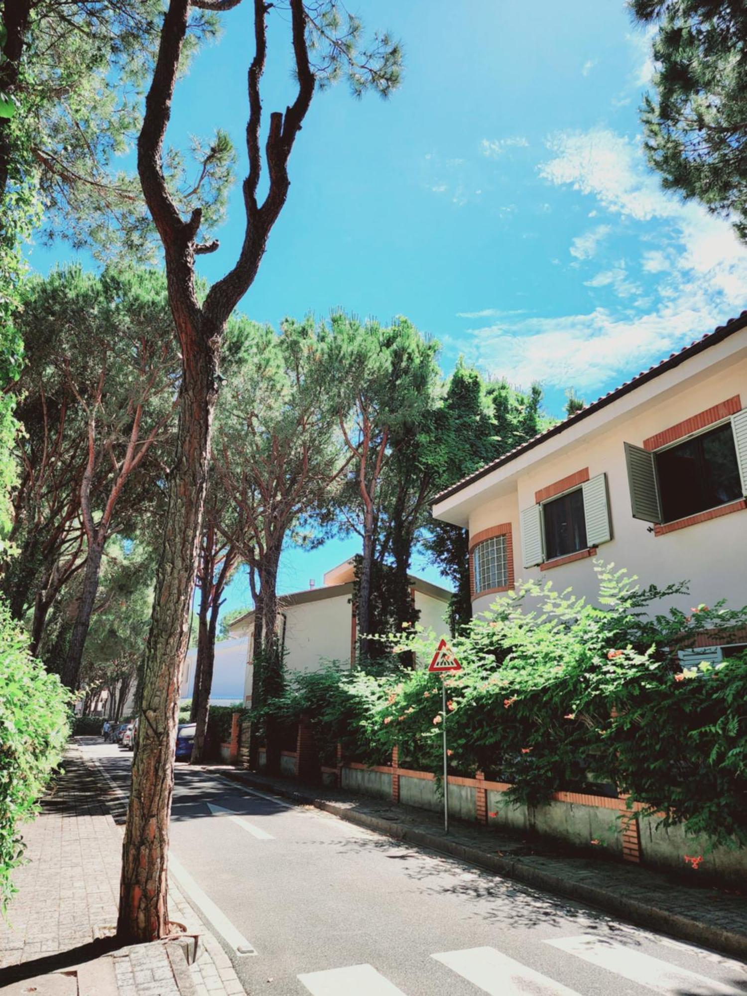 Villa Pinetrees Gem Golem Golem (Tirana)