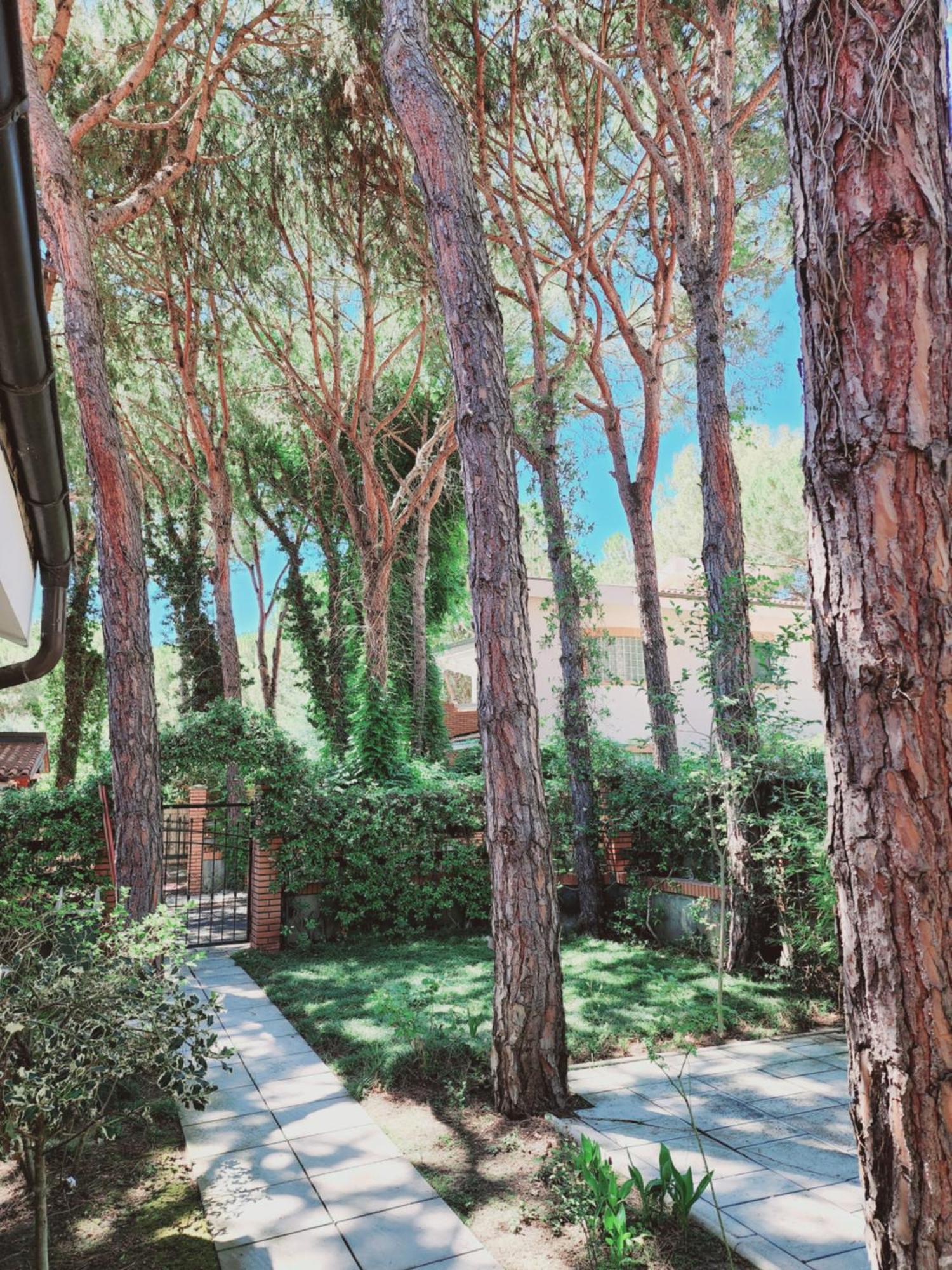 Pinetrees Gem Golem Villa Golem (Tirana)